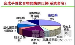 API制备过程中引入的生物酶催化剂的控制思路调研