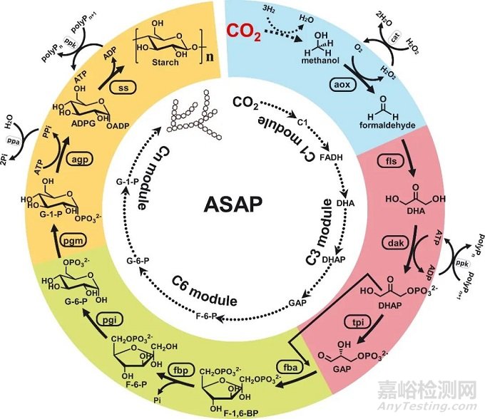 我国科学家突破CO₂人工合成淀粉技术