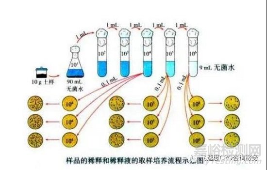 怎么理解微生物检测中的梯度稀释