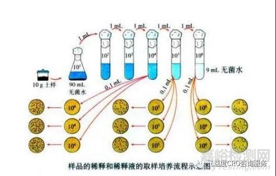 怎么理解微生物检测中的梯度稀释