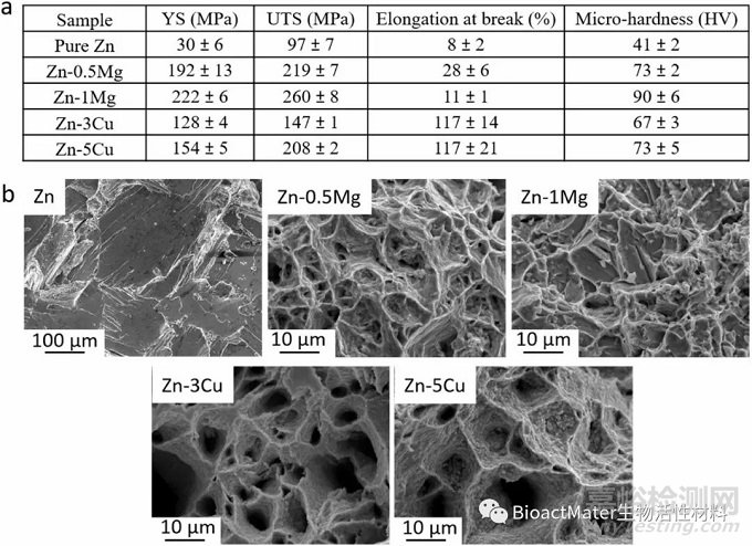 用于支架植入的Zn-Mg和Zn-Cu合金：从纳米力学表征到体外降解和生物相容性