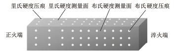 P22钢的里氏硬度与布氏硬度的转换关系