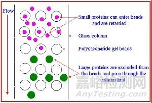 体积排阻色谱法 (SEC) 的原理、使用、常见问题及解决办法