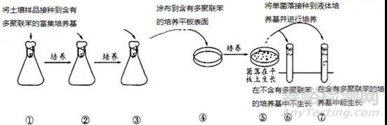 微生物的分离纯化详解