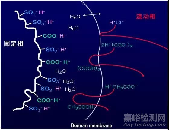 离子色谱的分离原理与注意事项