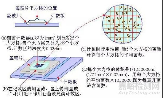 菌落总数检测技术要点