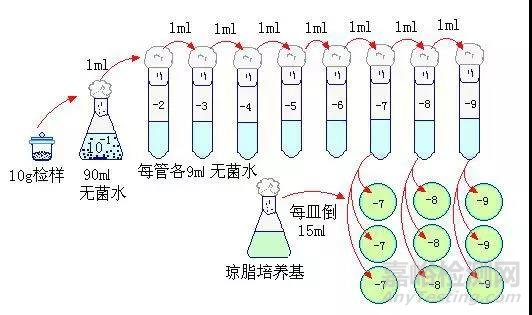 菌落总数检测技术要点