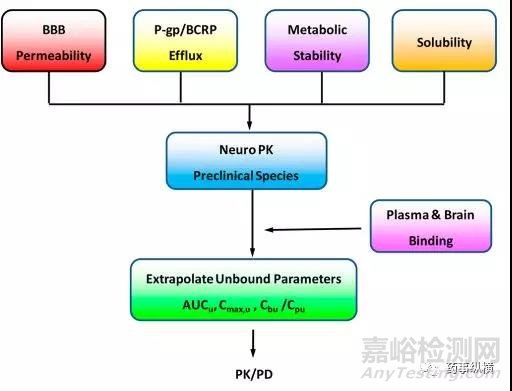 在新药发现阶段的DMPK筛选方法及评价策略