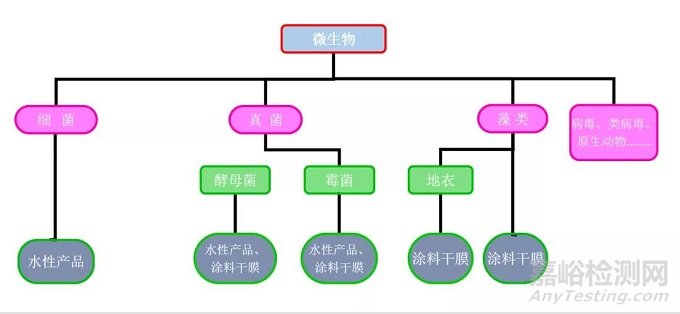 如何控制水性涂料里的微生物