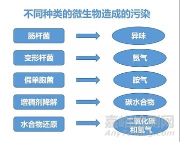 如何控制水性涂料里的微生物