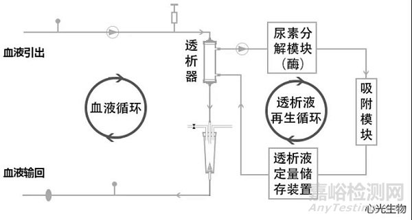 家庭血液透析的基本原理、国内外现状与未来展望