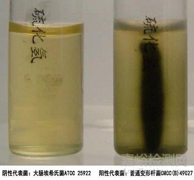 常见7种细菌鉴定生化反应