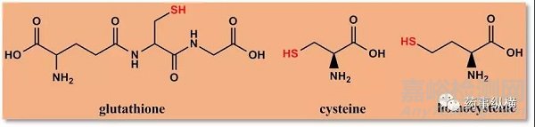 生物基质中稳定性研究那些事