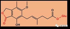 生物基质中稳定性研究那些事