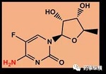 生物基质中稳定性研究那些事