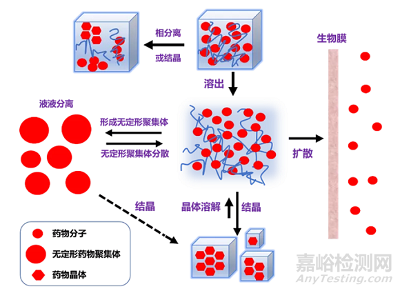 固体分散体增溶原理与方法研究