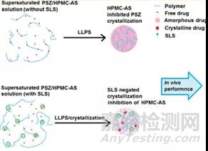 固体分散体增溶原理与方法研究