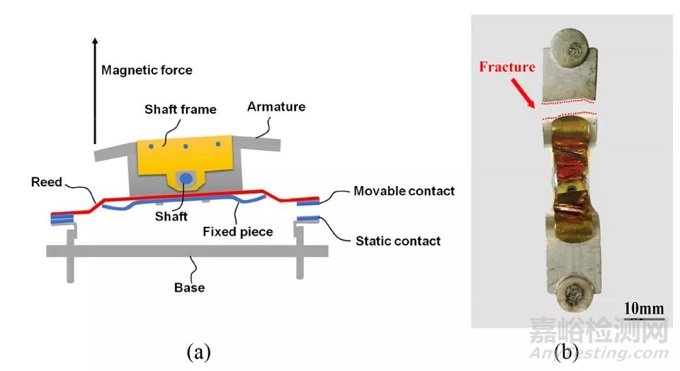 《Engineering Failure Analysis》：电磁继电器中Ag-Mg-Ni簧片断裂的机理分析