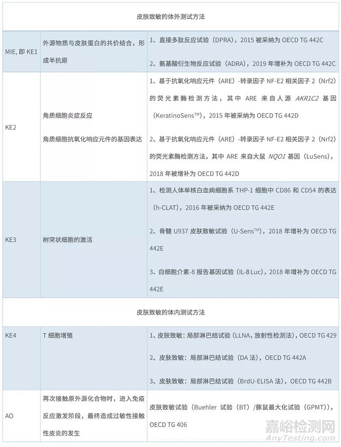 化学品安全性评估的新“里程碑”——皮肤致敏限定方法