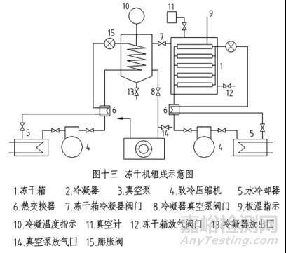 冻干技术的原理、工艺过程及常见问题