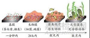 水凝胶防污材料的表征方法