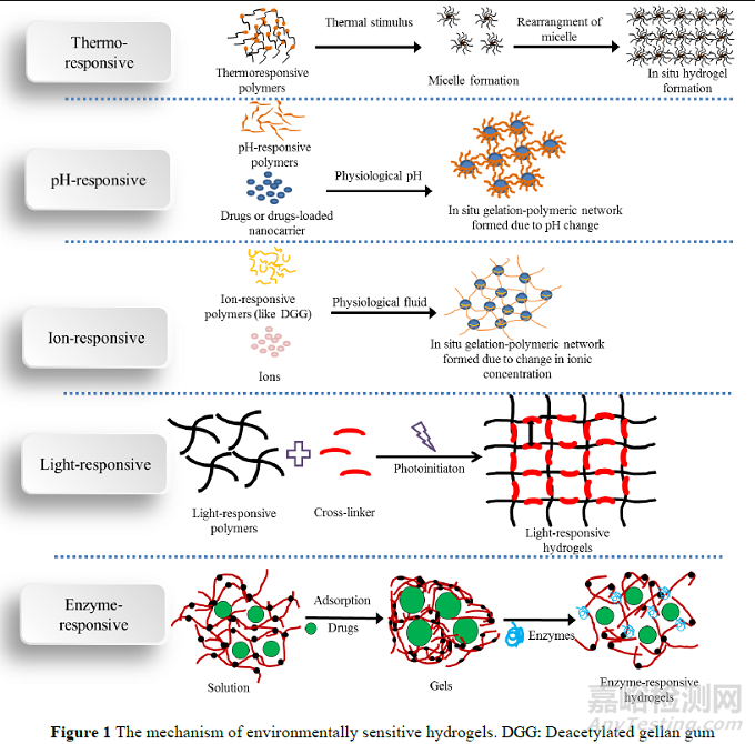 环境敏感型水凝胶在药物递送中的应用