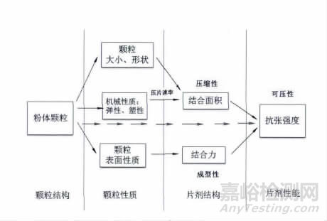 硬脂酸镁影响物料可压性的多种因素