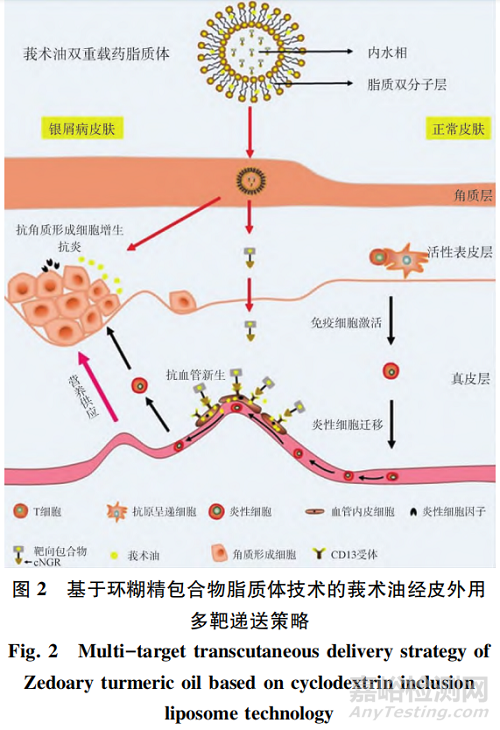 中药外用制剂研究概述与展望