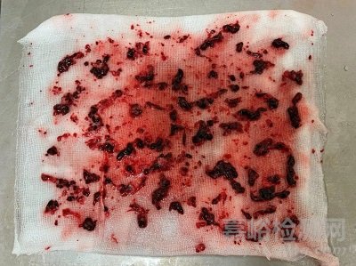 /uploads/ad/常用编辑图片/medtesting.jpg