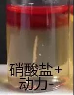 产气荚膜梭菌检验注意事项