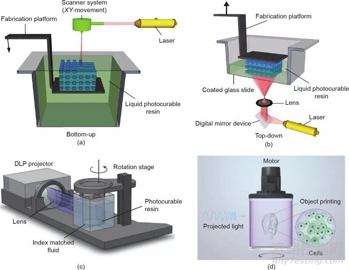 光固化3D生物打印技术的新进展