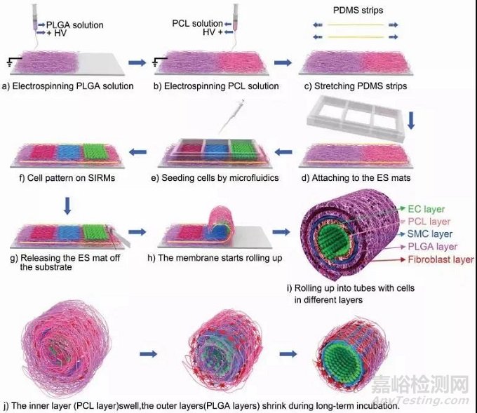 中美人工血管新产品与新技术