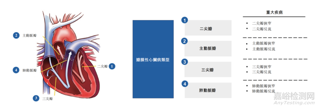 心脏瓣膜介入医疗器械专利分析报告