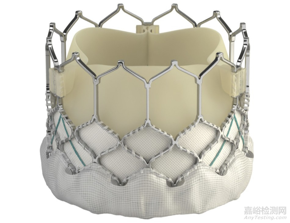 心脏瓣膜介入医疗器械专利分析报告