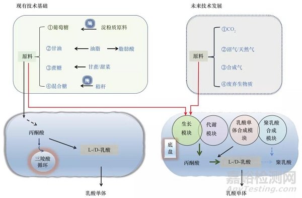 我国聚乳酸产业发展现状与对策研究