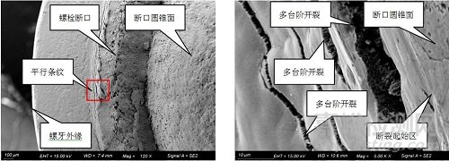 六角凸缘螺栓断裂失效分析案例