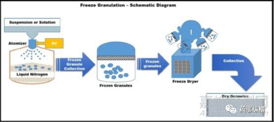 药物造粒先进方法大全