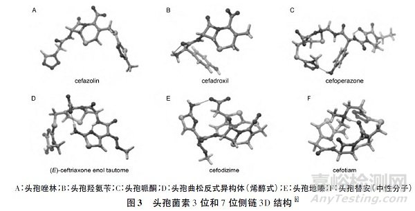 头孢菌素杂质毒性的评价策略与方法