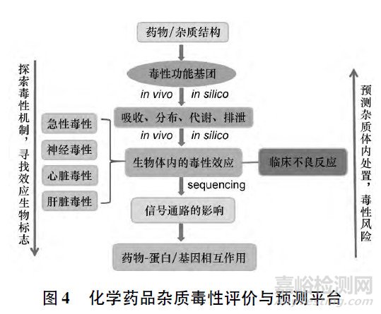 头孢菌素杂质毒性的评价策略与方法