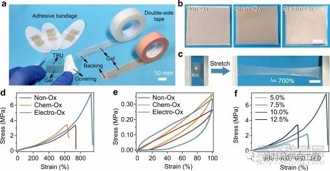 南大《Nature Commun》：超强水凝胶胶带！缝合黑科技