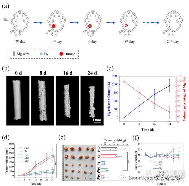 镁植入物可控释放氢气诱导p53介导的肿瘤细胞凋亡