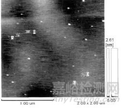 一文读懂原子力显微镜（AFM）测试