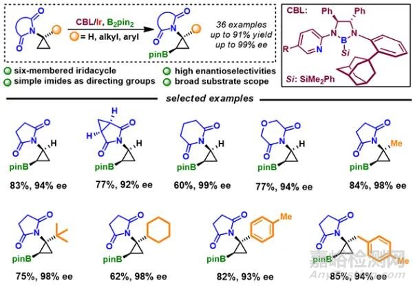 环丙胺不对称碳氢键硼化研究获进展