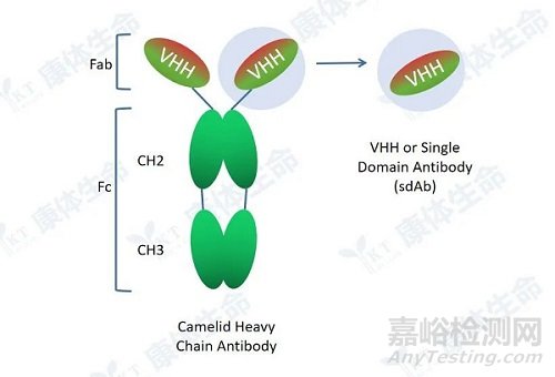 如何制备纳米抗体