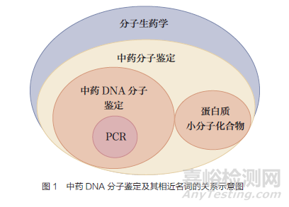 DNA 分子鉴定技术在中药标准中的应用和有关问题