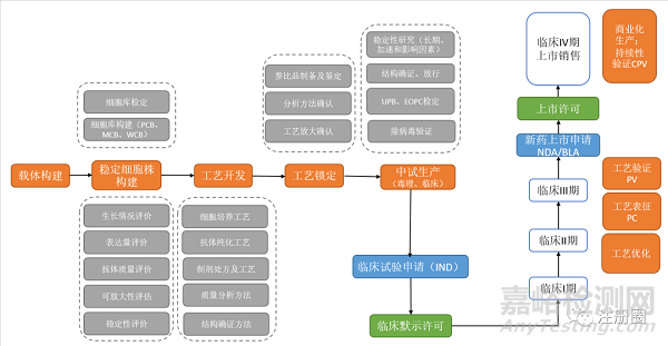 药品研发策略和中美欧审评关注点