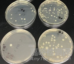 如何理解微生物检测中的CFU
