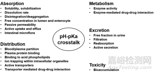 药物吸收影响因素之药物理化性质及体液环境