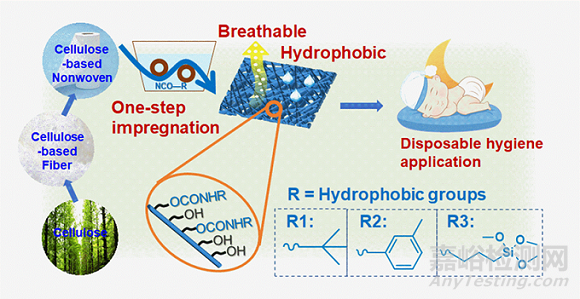 东华大学乌婧/邹黎明/王华平研发了一次性医卫用疏水透气纤维素非织造布