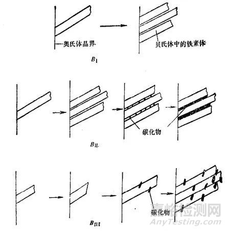 贝氏体的形成条件、组织形态和亚结构